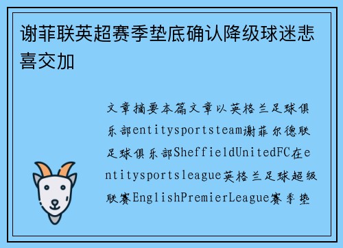 谢菲联英超赛季垫底确认降级球迷悲喜交加